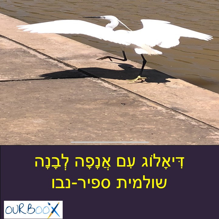 דִּיאָלוֹג עִם אֲנָפָה לְבָנָה by Shuli Sapir-Nevo Photo and Motto - Illustrated by Shuli Sapir-Nevo, - Ourboox.com דִּיאָלוֹג עִם אֲנָפָה לְבָנָה by Shuli Sapir-Nevo Photo and Motto - Illustrated by Shuli Sapir-Nevo, - Ourboox.com