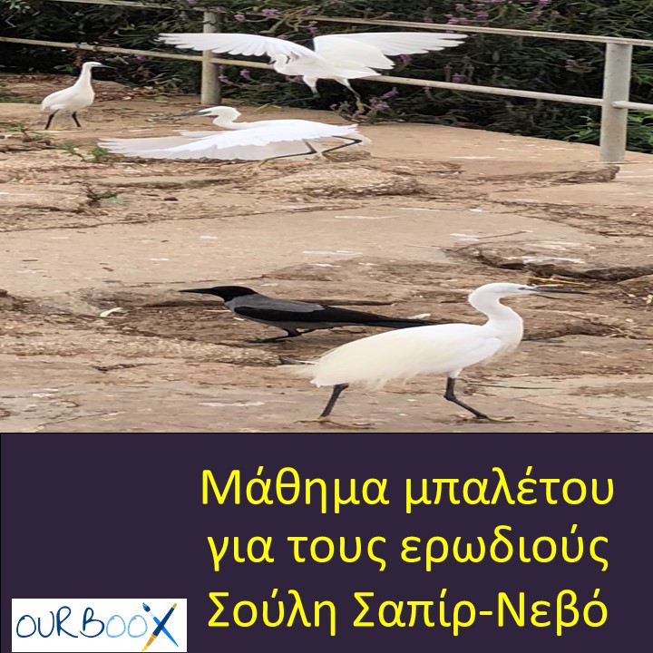 Μάθημα μπαλέτου για τους ερωδιούς by Shuli Sapir-Nevo Photo and Motto - Illustrated by Σούλη Σαπίρ-Νεβό - Ourboox.com Μάθημα μπαλέτου για τους ερωδιούς by Shuli Sapir-Nevo Photo and Motto - Illustrated by Σούλη Σαπίρ-Νεβό - Ourboox.com