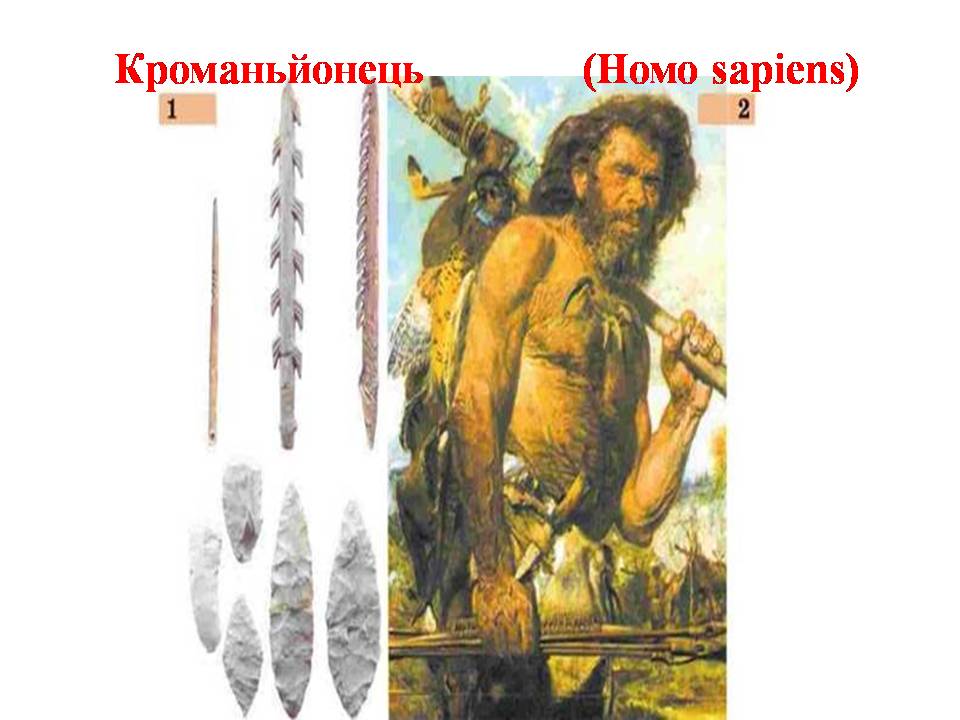 Життя людей у первісні часи by Людмила Горбонос - Ourboox.com