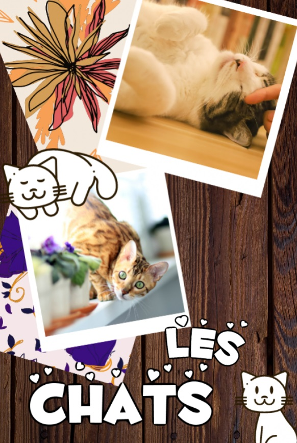 Les Chats by Magda Łatanik - Ourboox.com Les Chats by Magda Łatanik - Ourboox.com