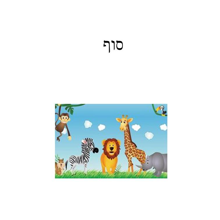 שני מטר של כאב by כרמלה גינת - Ourboox.com