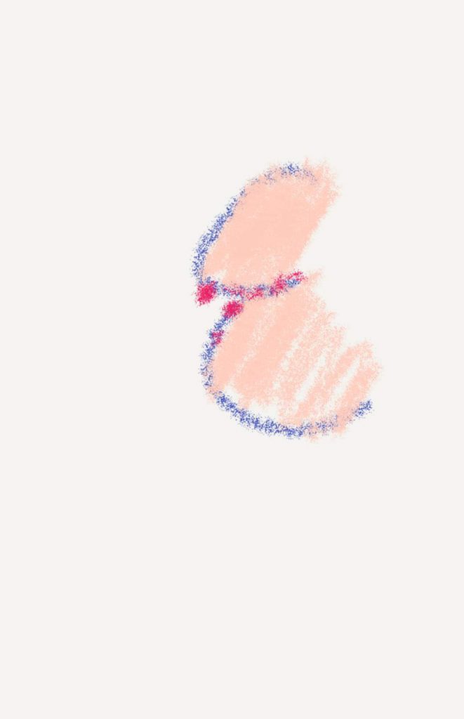 הציצים של אגם by noam meir sadot - Illustrated by נועם מאיר שדות - Ourboox.com הציצים של אגם by noam meir sadot - Illustrated by נועם מאיר שדות - Ourboox.com