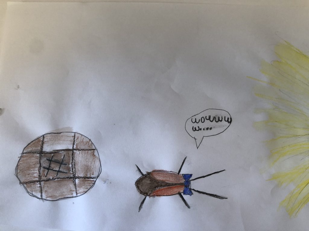 The Beautiful Cockroach – 2nd Edition by Stephen Pohlmann - Illustrated by Naya Ovadia-Pohlmann - Ourboox.com