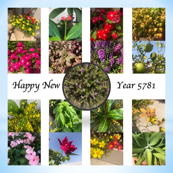 # 369 – Happy New Year 5781 by Stephen Pohlmann - Illustrated by Stephen Pohlmann - Ourboox.com