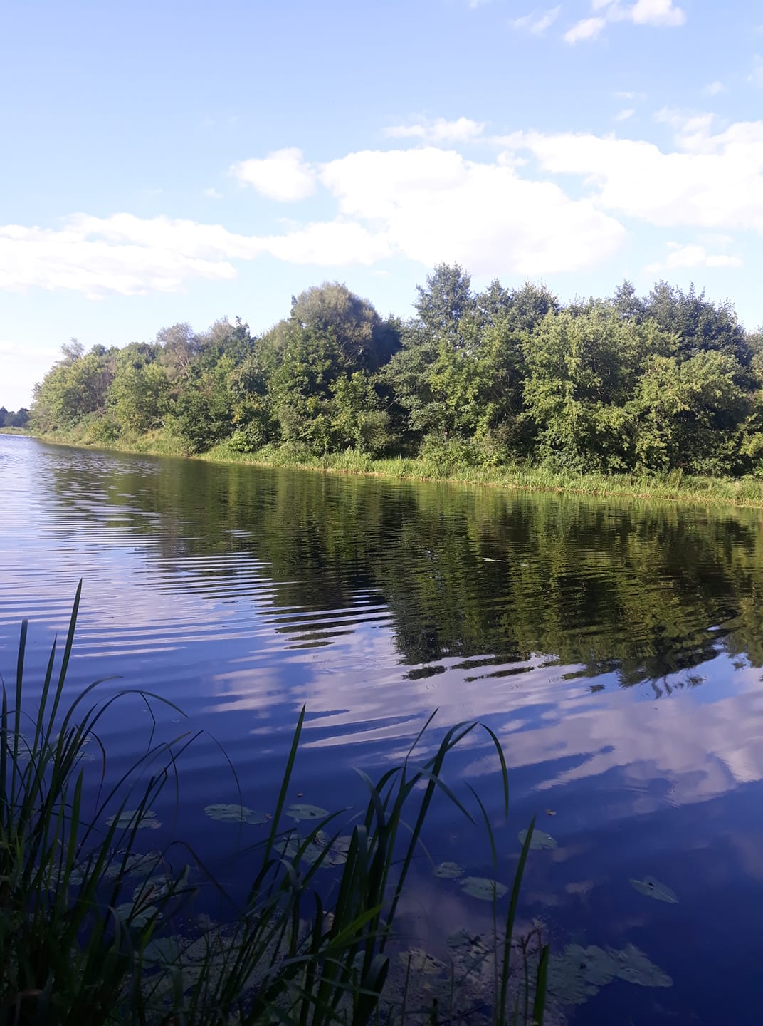 SUMMER MEMORIES * LETNIE WSPOMNIENIA * ЛІТНІ СПОГАДИ by Edward Zinnurow - Ourboox.com