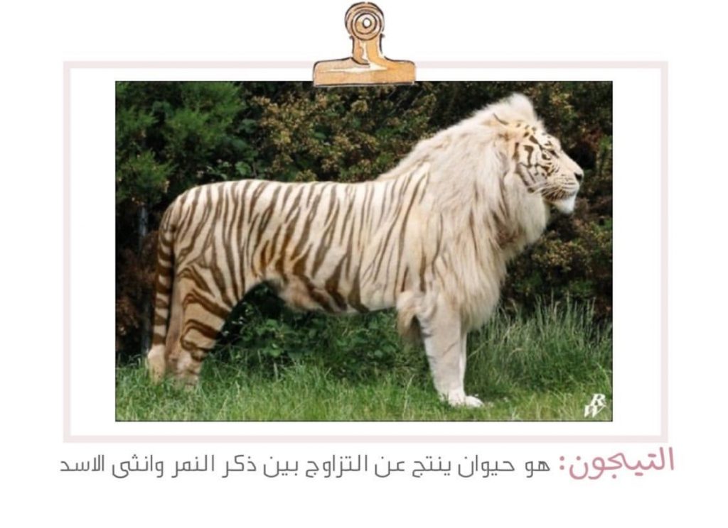 علم البيئة by shahd - Illustrated by بحث - Ourboox.com