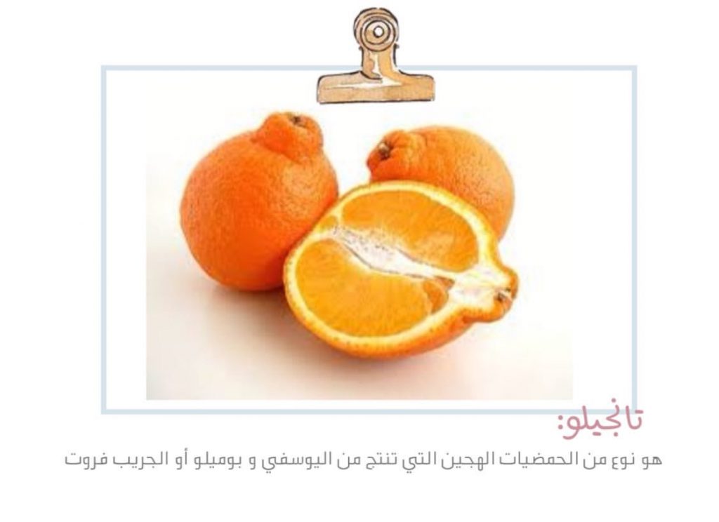 علم البيئة by shahd - Illustrated by بحث - Ourboox.com