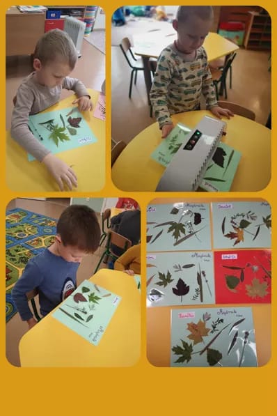 EUROPE IN MY KINDERGARDEN by Fadime DÜZGÜN GÜVEN - Illustrated by E book - Ourboox.com