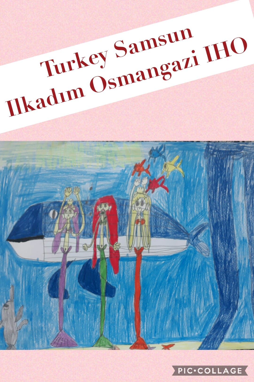 Ilkadım Osmangazi Iho