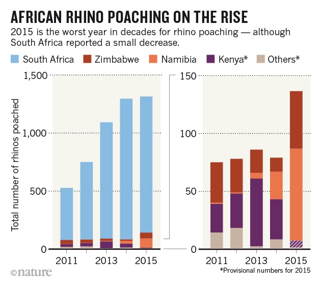 The Effects of Poaching and How to Help Ourboox