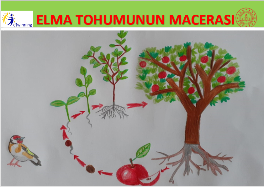 ELMA TOHUMUNUN MACERASI by Nursen Tos - Ourboox.com ELMA TOHUMUNUN MACERASI by Nursen Tos - Ourboox.com