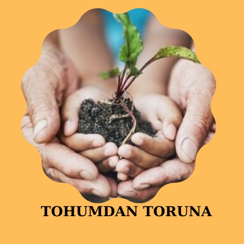 ELMA TOHUMUNUN MACERASI by Nursen Tos - Ourboox.com