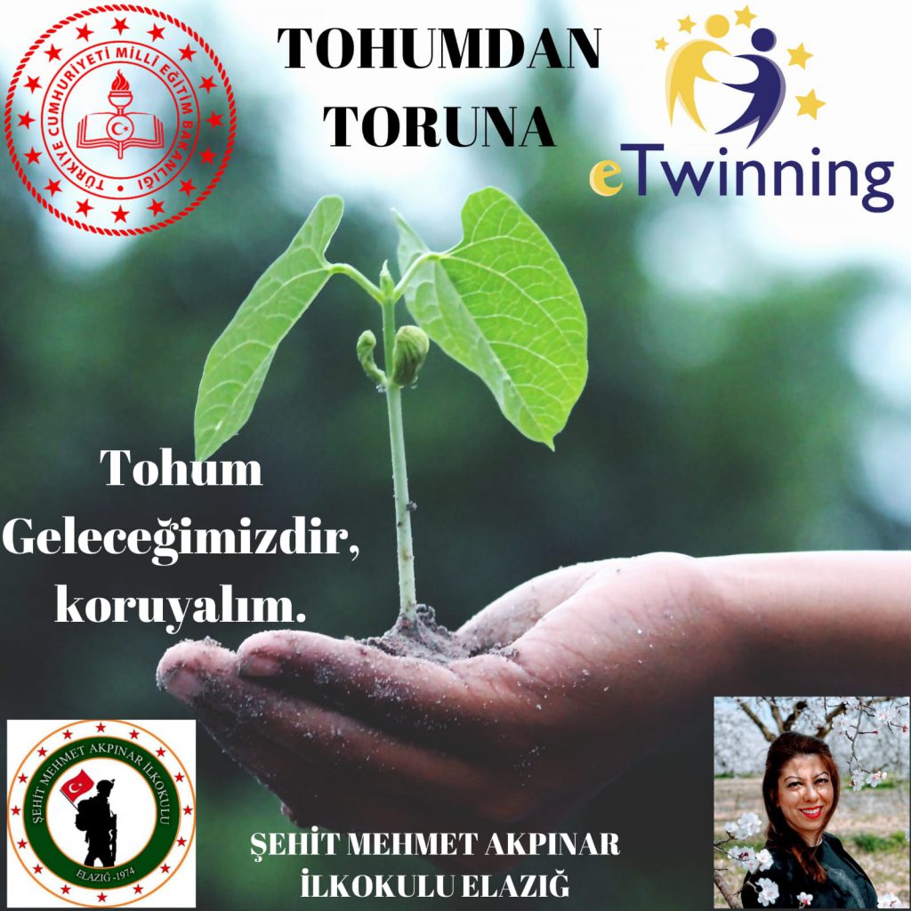 ELMA TOHUMUNUN MACERASI by Nursen Tos - Ourboox.com