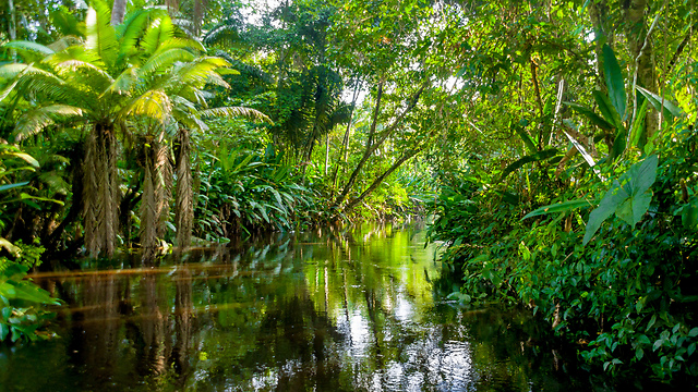 Following Ed Stafford’s footsteps by Erika Slonov - Ourboox.com