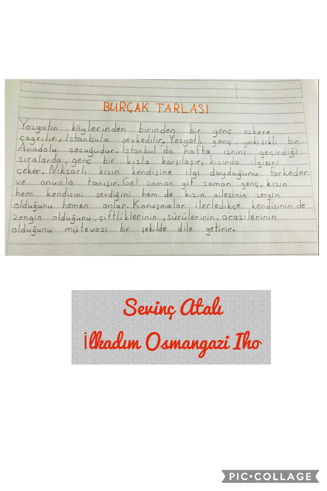 Türkülerin Hikayesi – BURÇAK TARLASI by Sevinç Atalı - Illustrated by Deniz Turan TUNÇ ve Sevinç ATALI - Ourboox.com