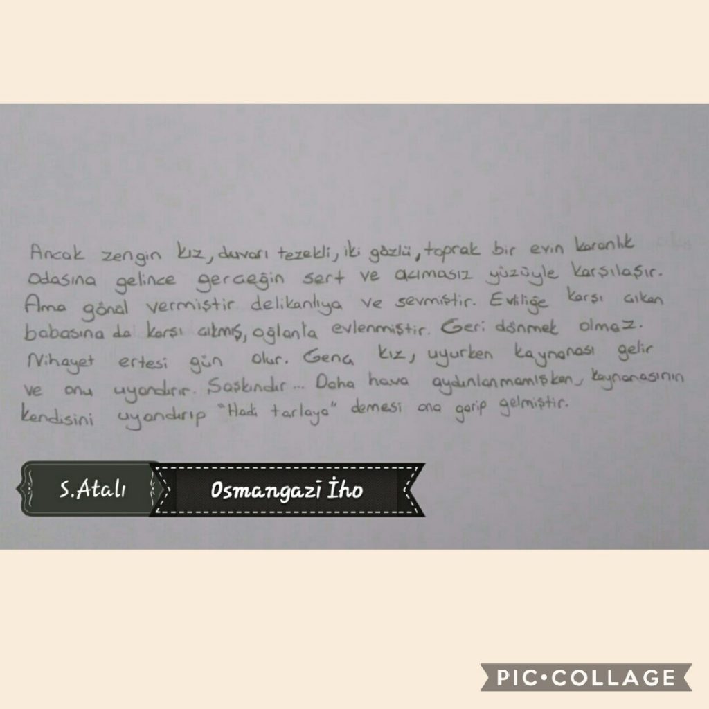 Türkülerin Hikayesi – BURÇAK TARLASI by Sevinç Atalı - Illustrated by Deniz Turan TUNÇ ve Sevinç ATALI - Ourboox.com