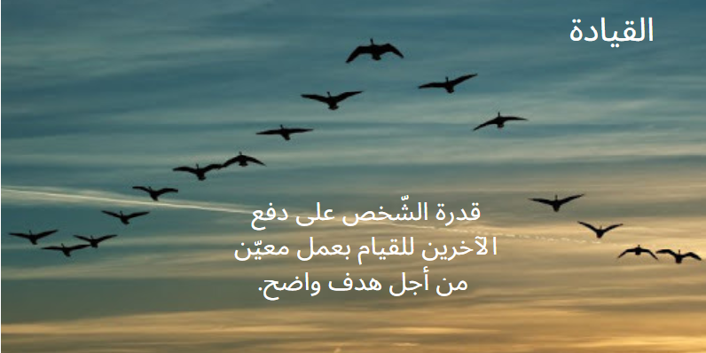 القيادة by Amalhossen - Illustrated by أمل حسين - Ourboox.com
