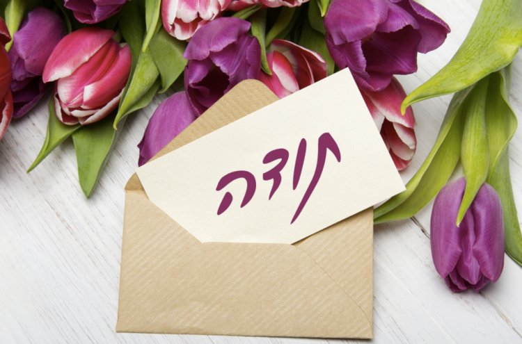 השמש, הירח והכוכבים by Tala.Knane - Illustrated by Tala Knane - Ourboox.com