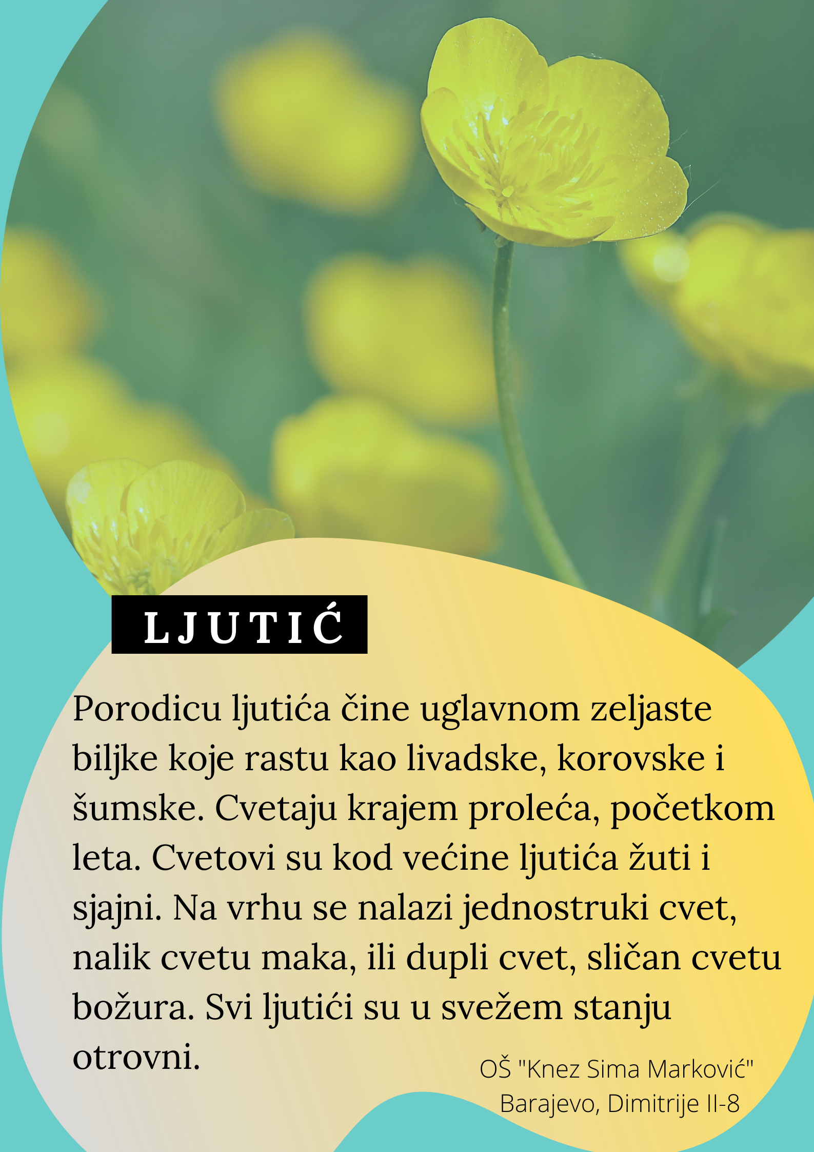 Abeceda biljaka by Biljana Popović - Ourboox.com
