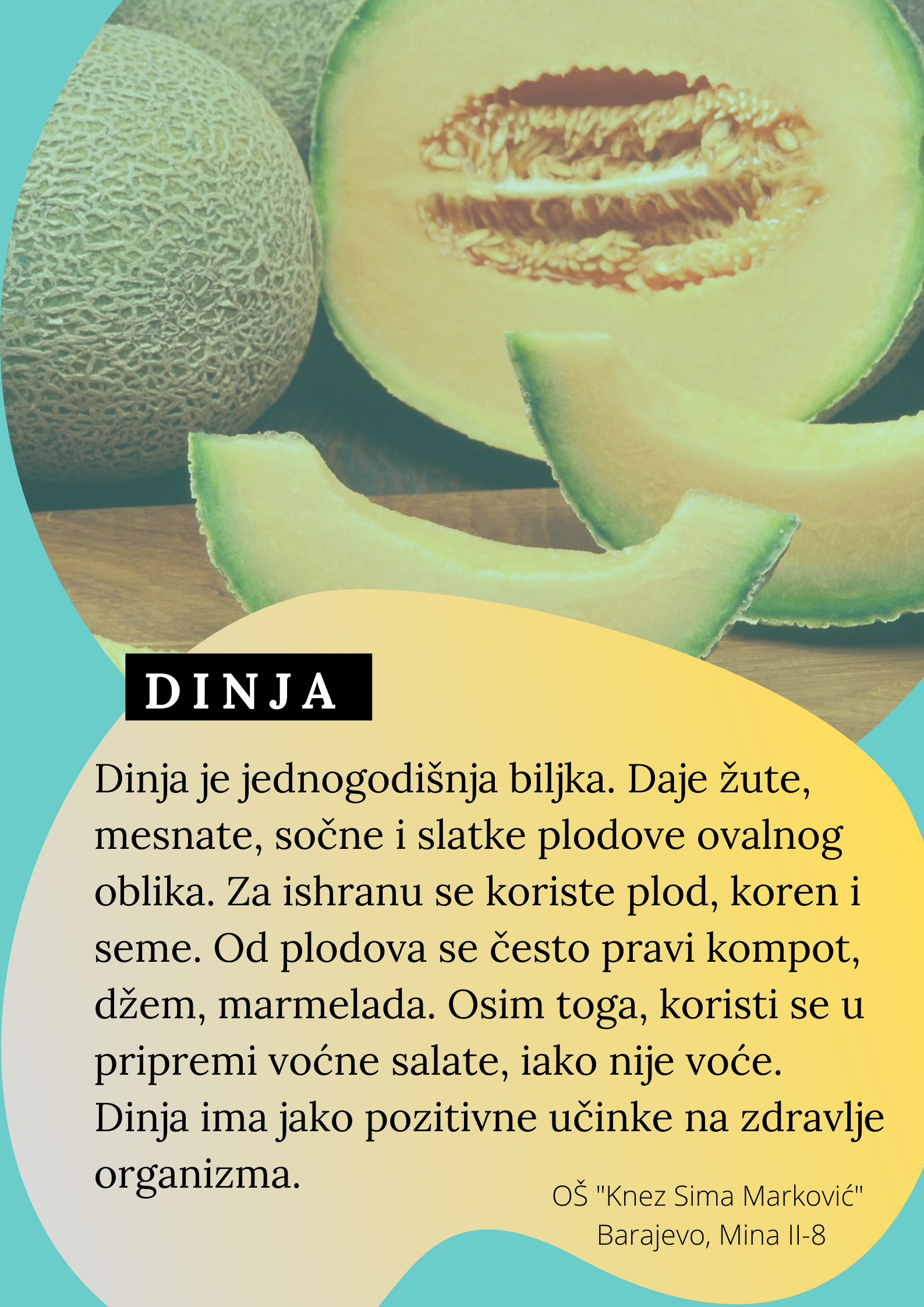 Abeceda biljaka by Biljana Popović - Ourboox.com