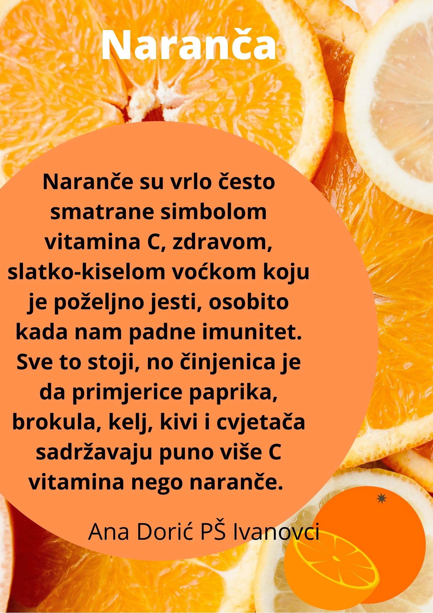 Abeceda biljaka by Biljana Popović - Ourboox.com