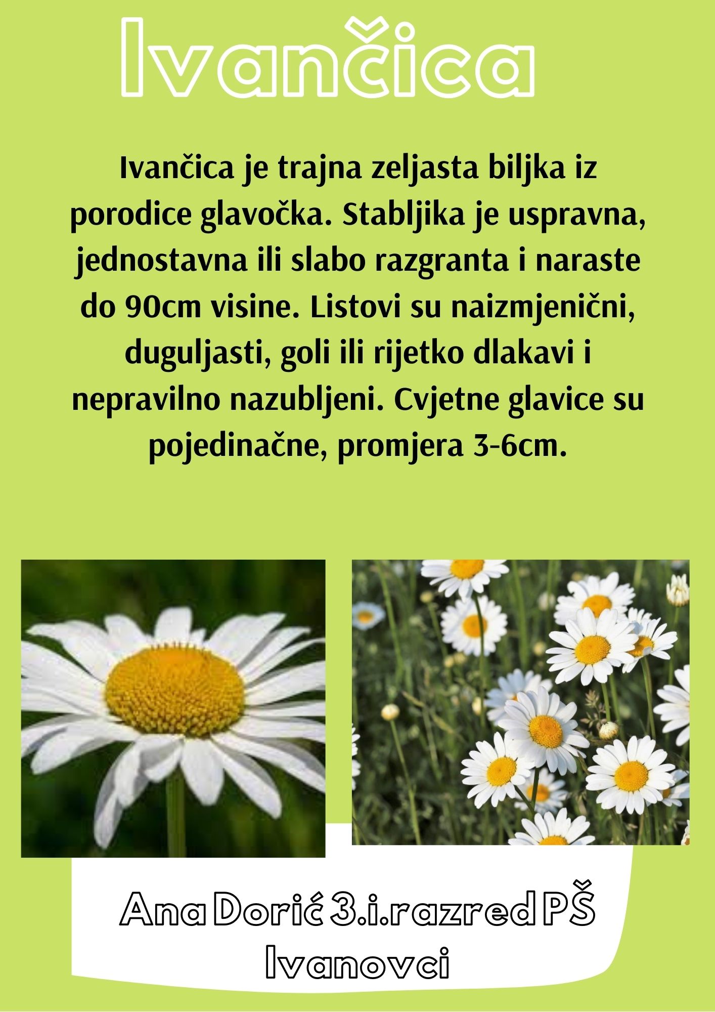 Abeceda biljaka by Biljana Popović - Ourboox.com