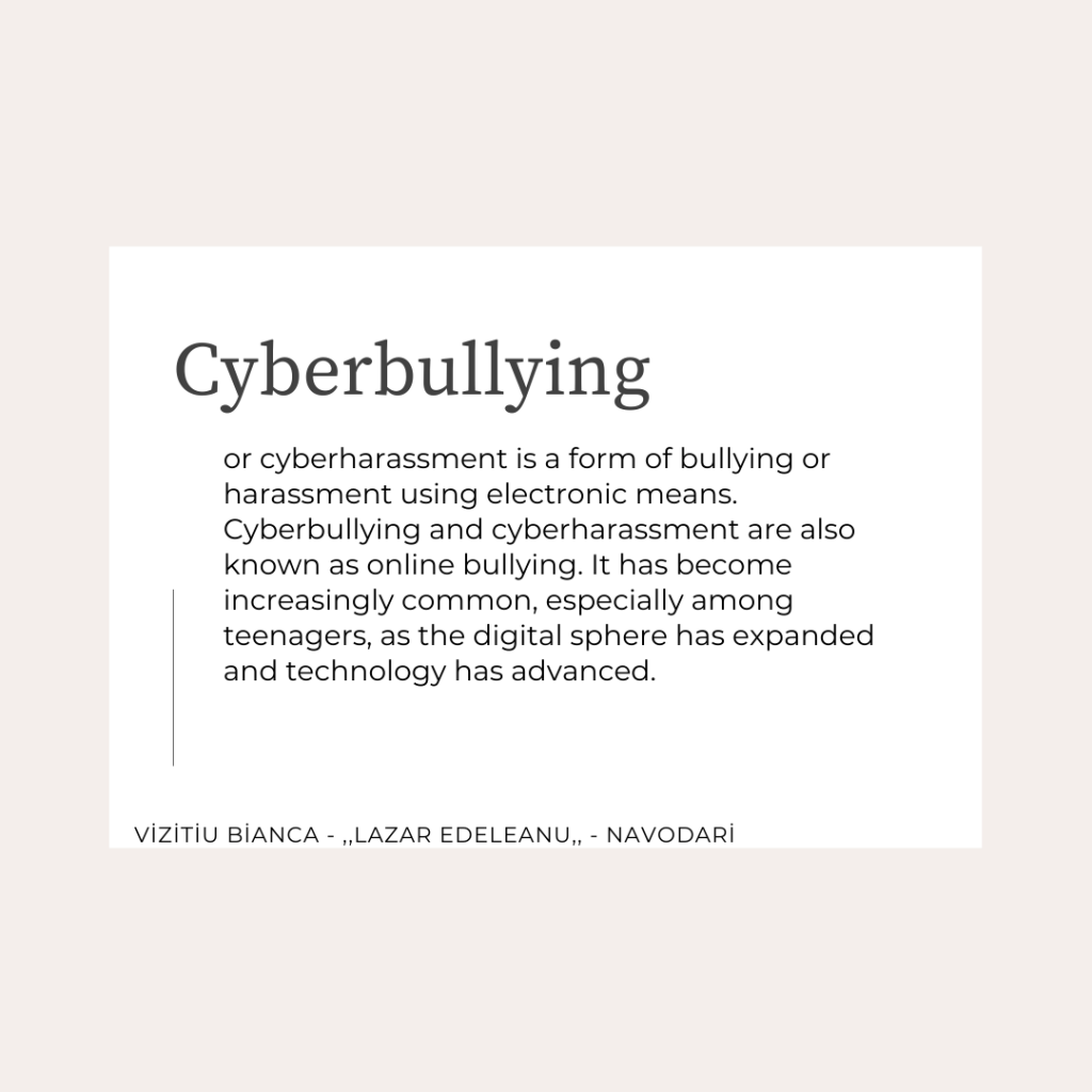Safer Internet Dictionary by SWOT VET - Illustrated by SWOT VET Project Members - Ourboox.com