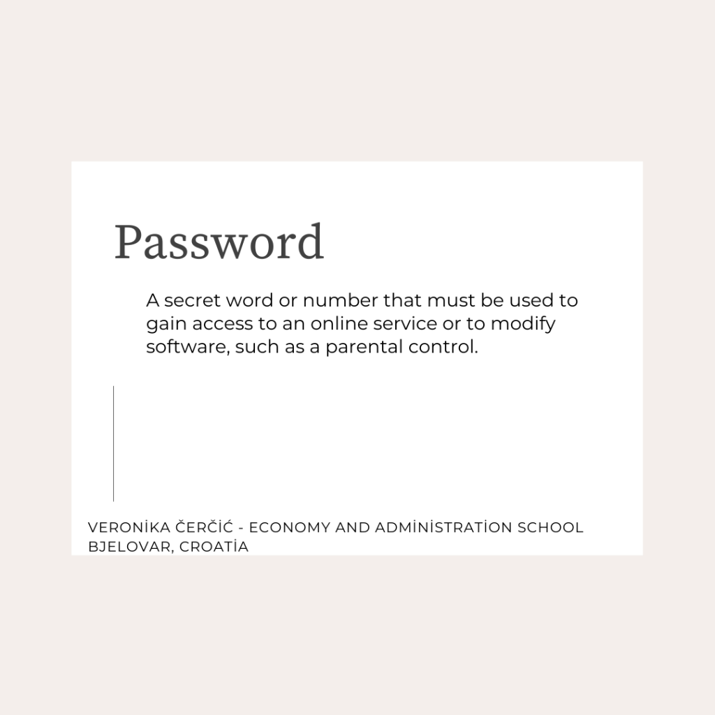 Safer Internet Dictionary by SWOT VET - Illustrated by SWOT VET Project Members - Ourboox.com