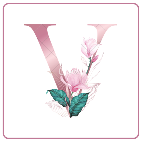 Safer Internet Dictionary by SWOT VET - Illustrated by SWOT VET Project Members - Ourboox.com