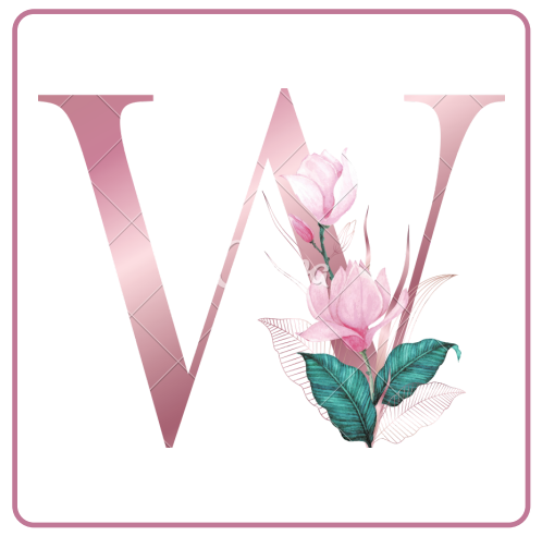 Safer Internet Dictionary by SWOT VET - Illustrated by SWOT VET Project Members - Ourboox.com