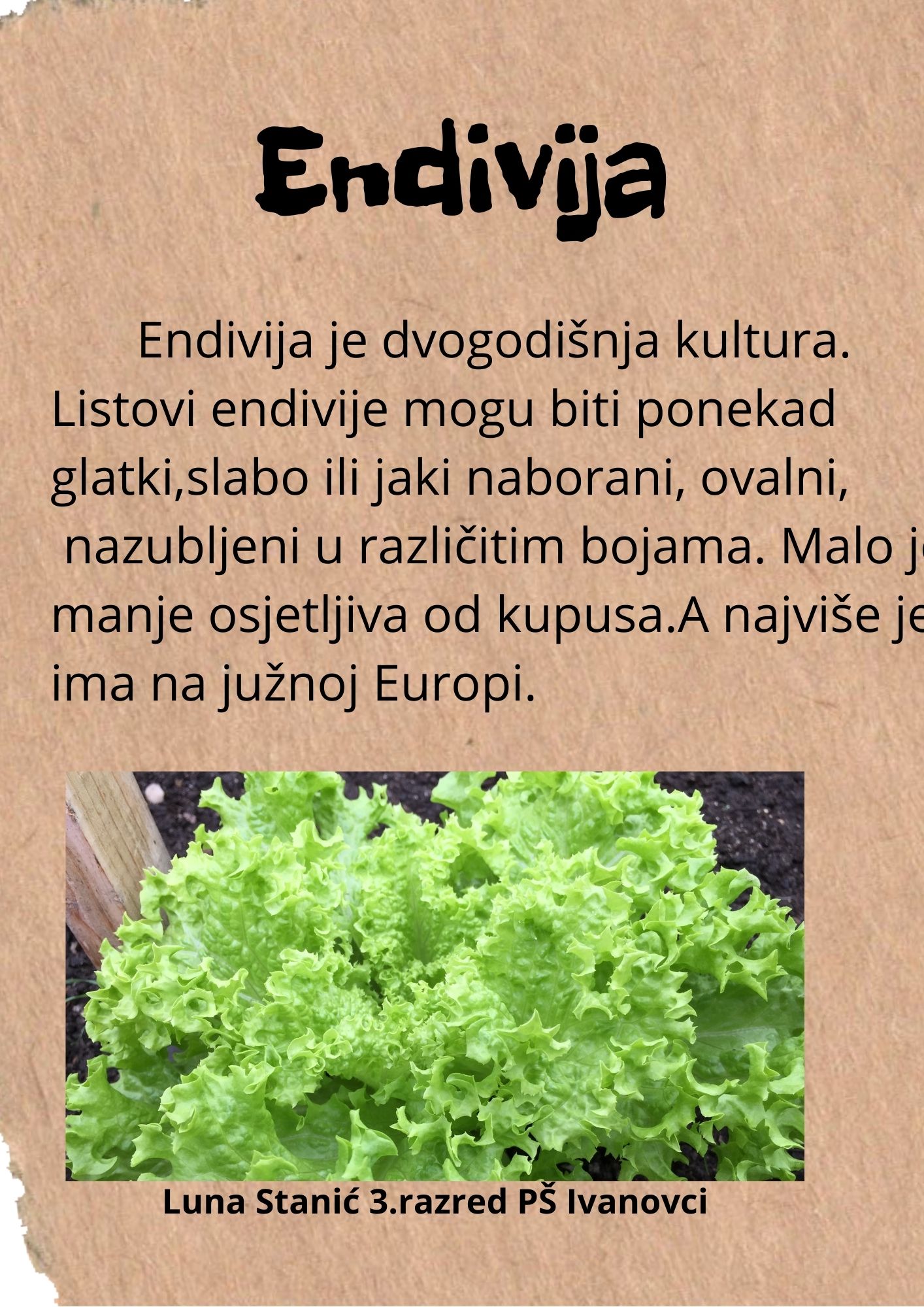Abeceda biljaka by Biljana Popović - Ourboox.com