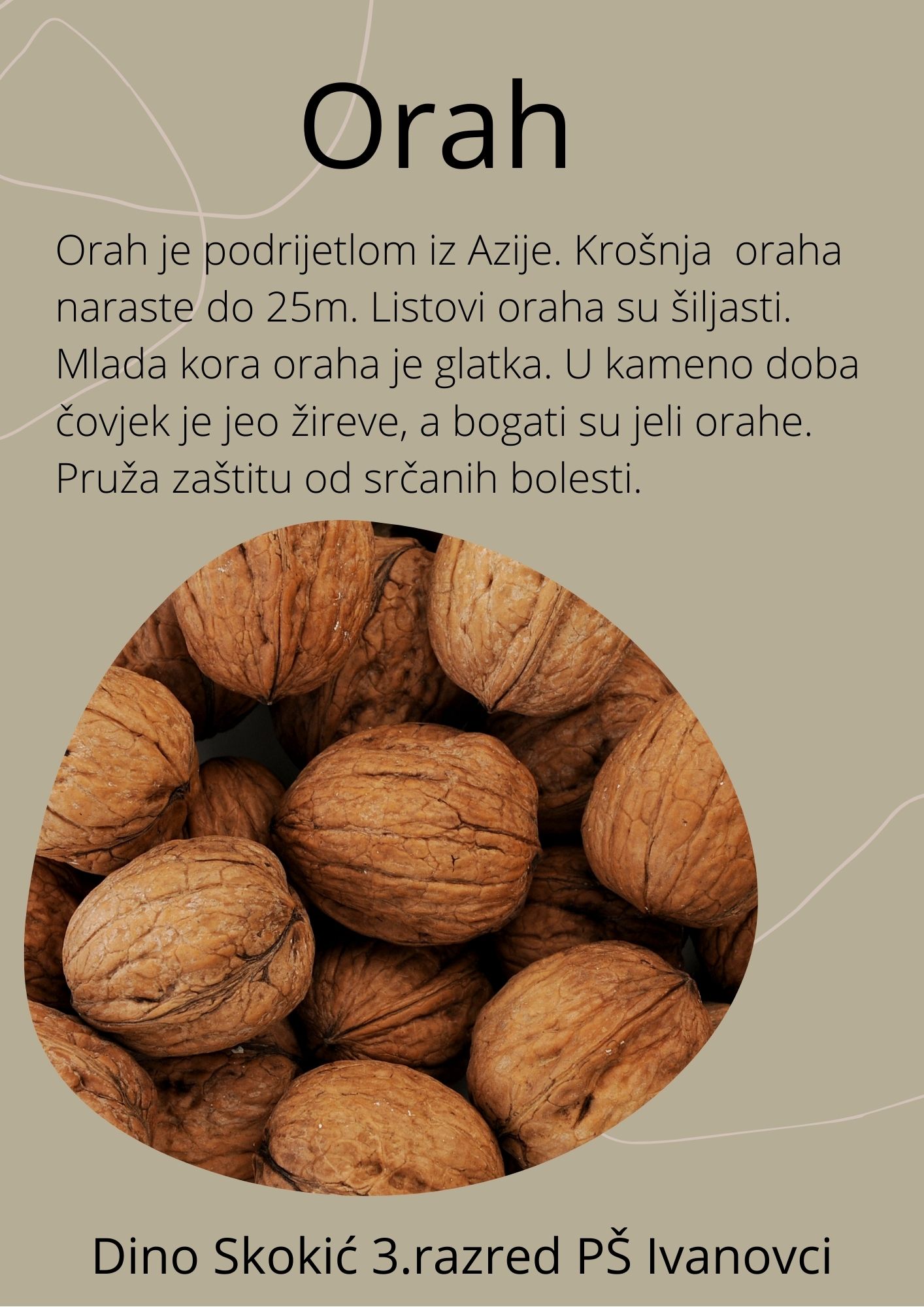 Abeceda biljaka by Biljana Popović - Ourboox.com