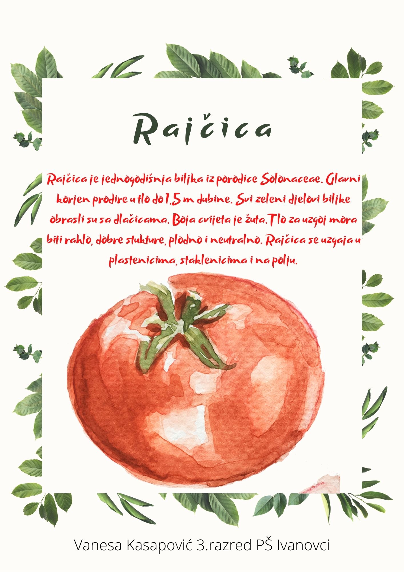 Abeceda biljaka by Biljana Popović - Ourboox.com