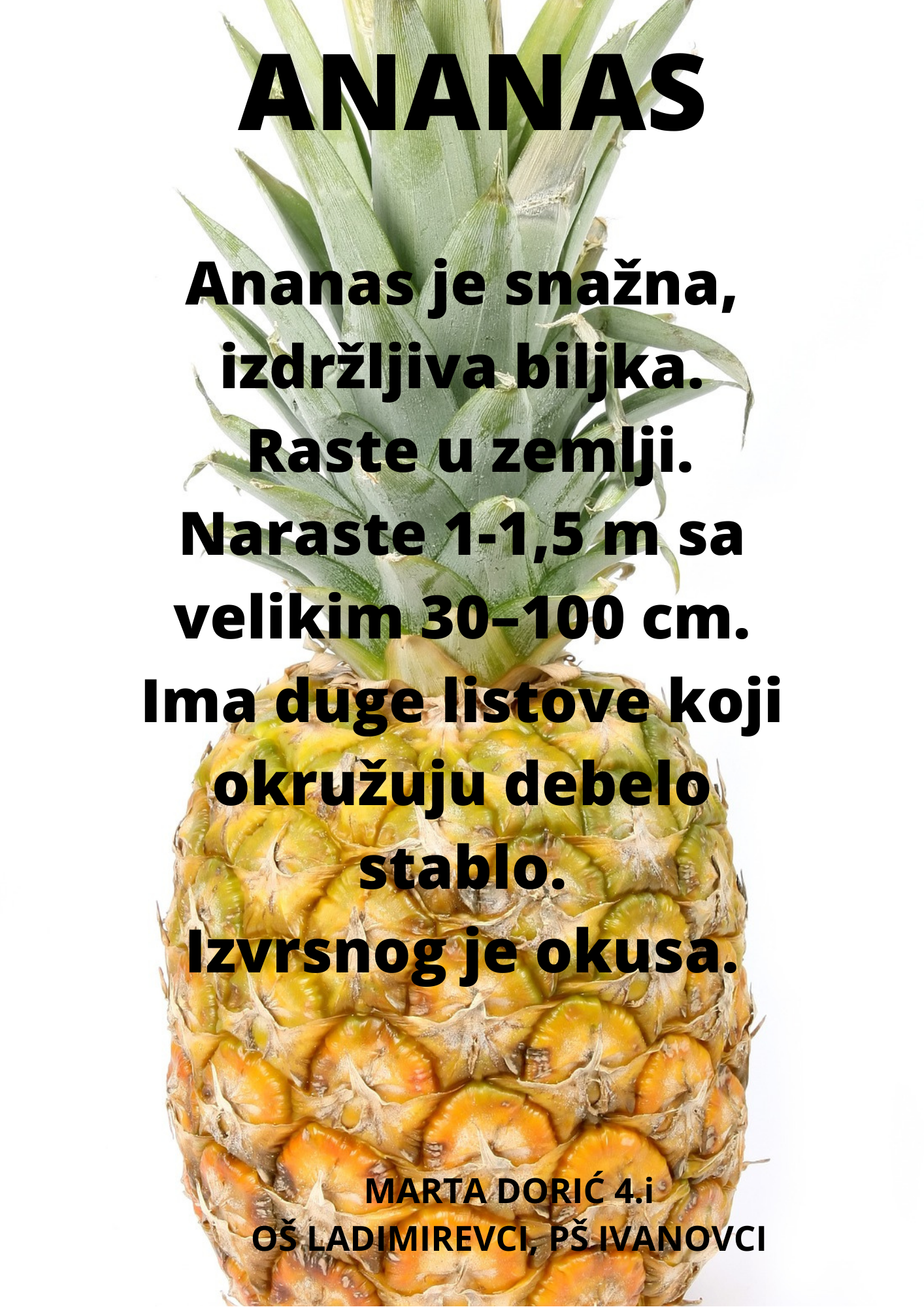Abeceda biljaka by Biljana Popović - Ourboox.com