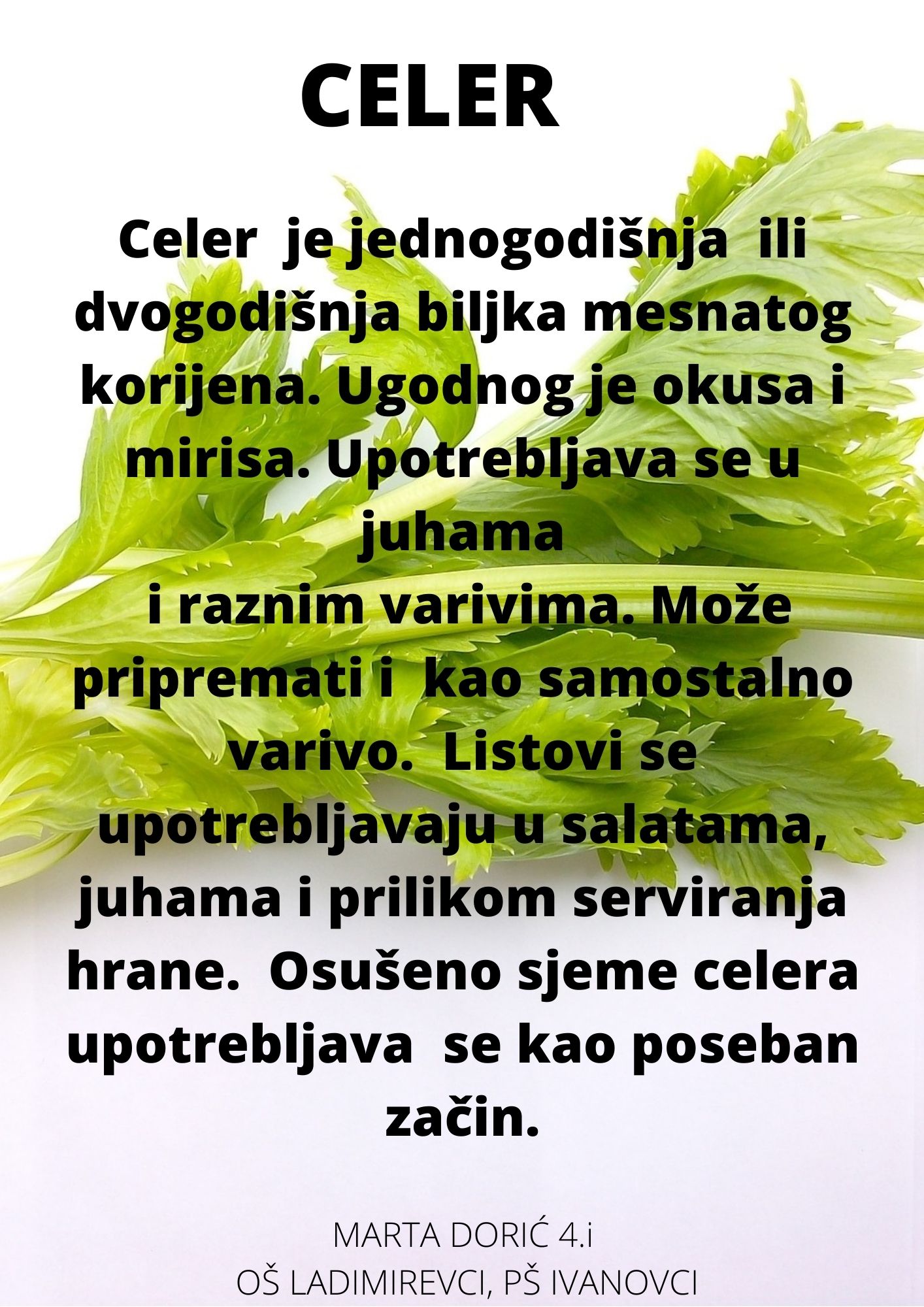 Abeceda biljaka by Biljana Popović - Ourboox.com