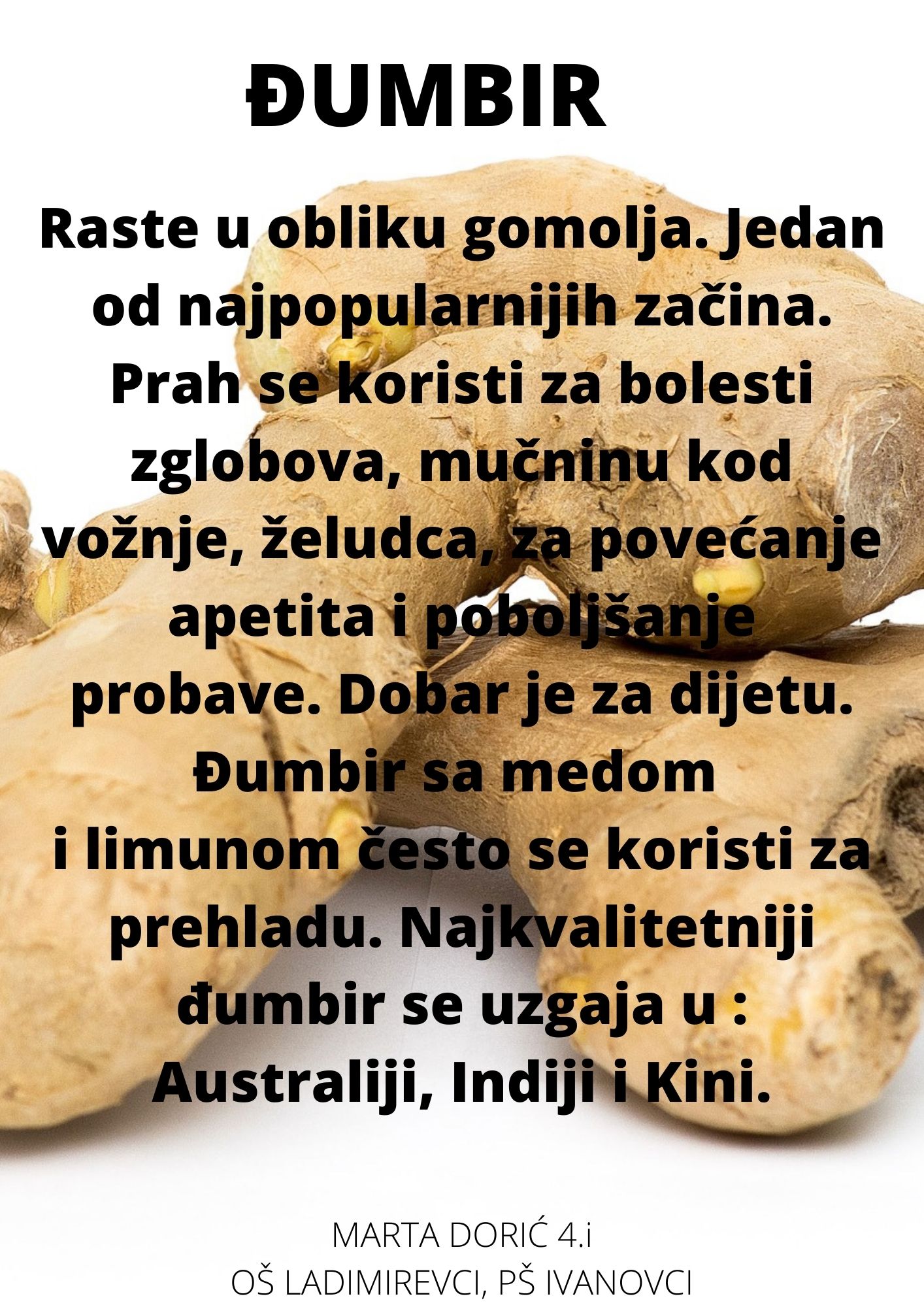 Abeceda biljaka by Biljana Popović - Ourboox.com