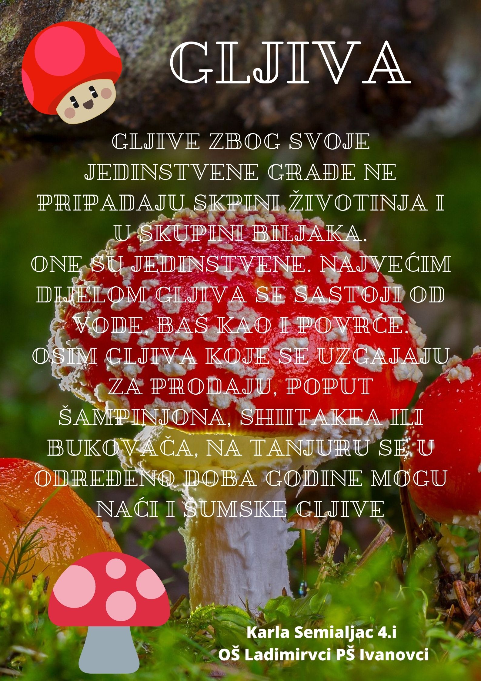 Abeceda biljaka by Biljana Popović - Ourboox.com