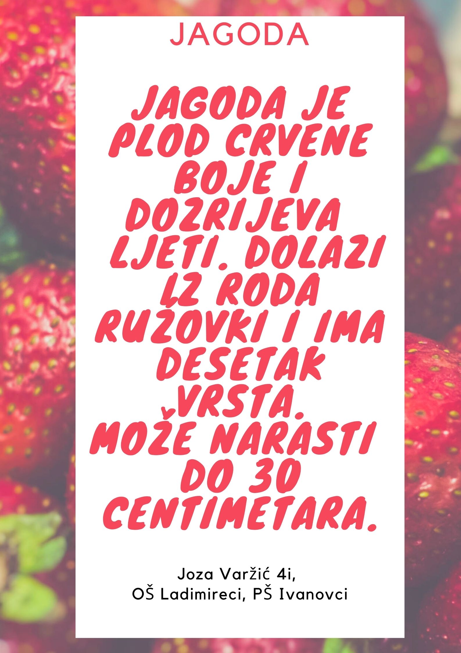 Abeceda biljaka by Biljana Popović - Ourboox.com