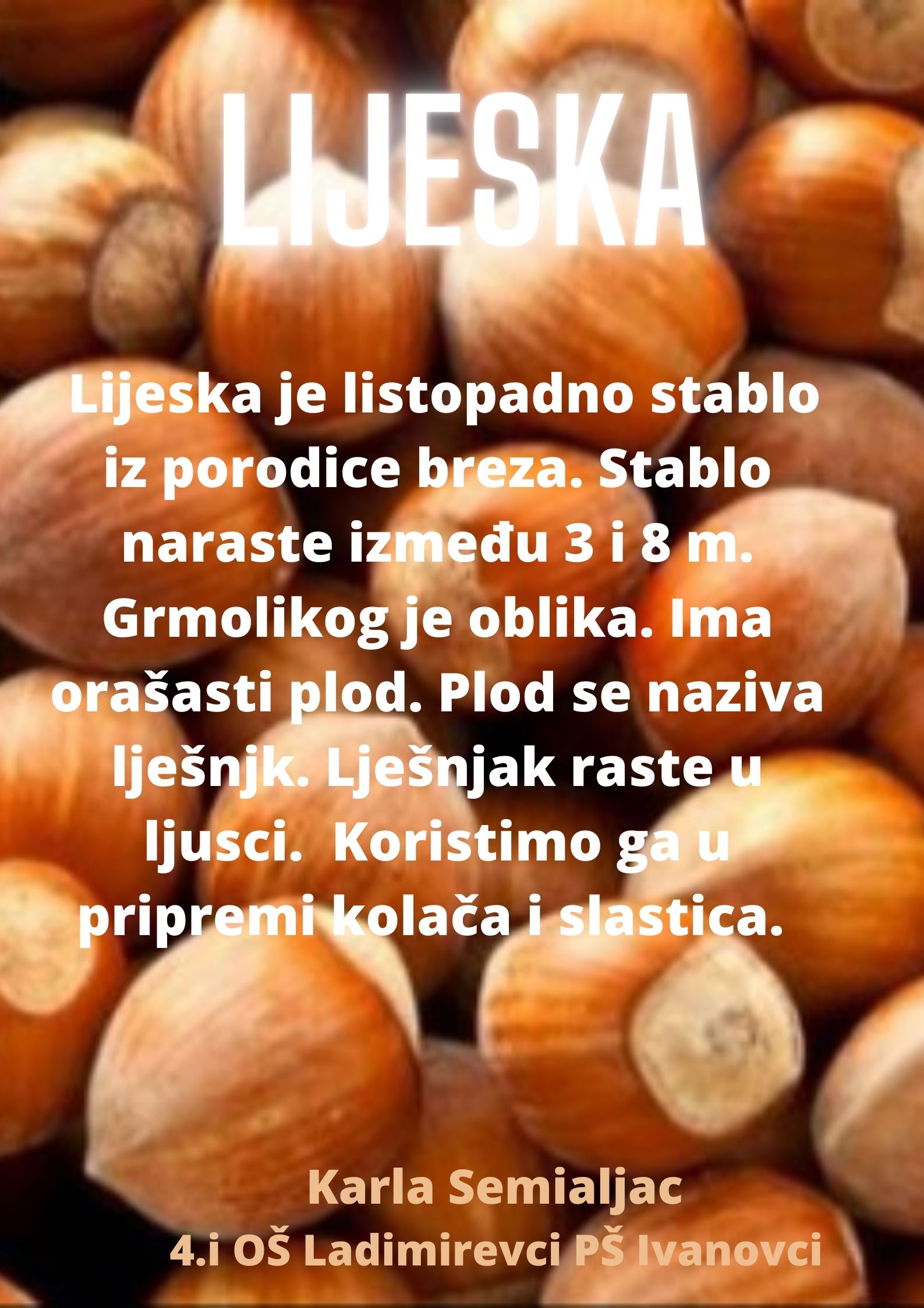 Abeceda biljaka by Biljana Popović - Ourboox.com