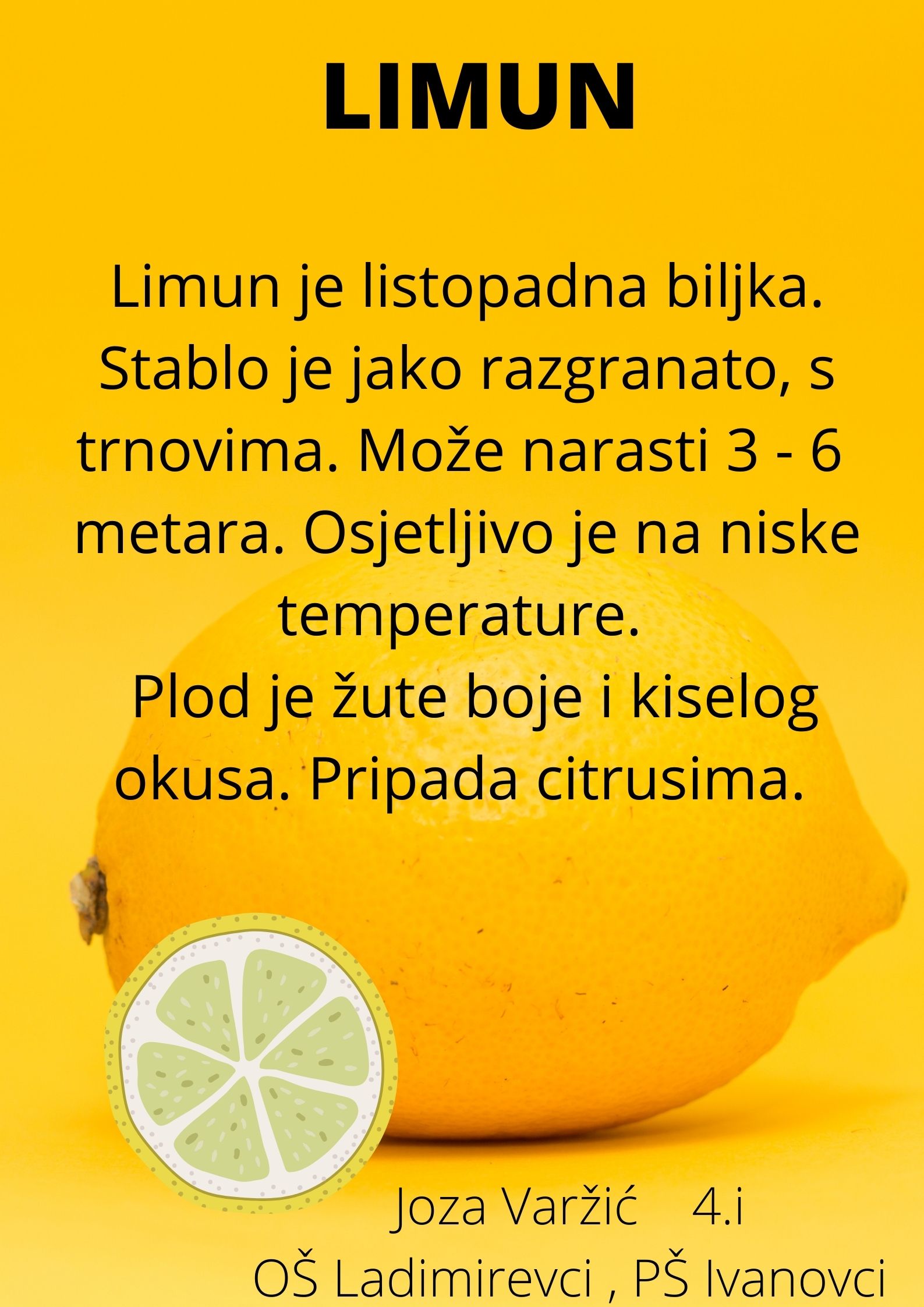 Abeceda biljaka by Biljana Popović - Ourboox.com
