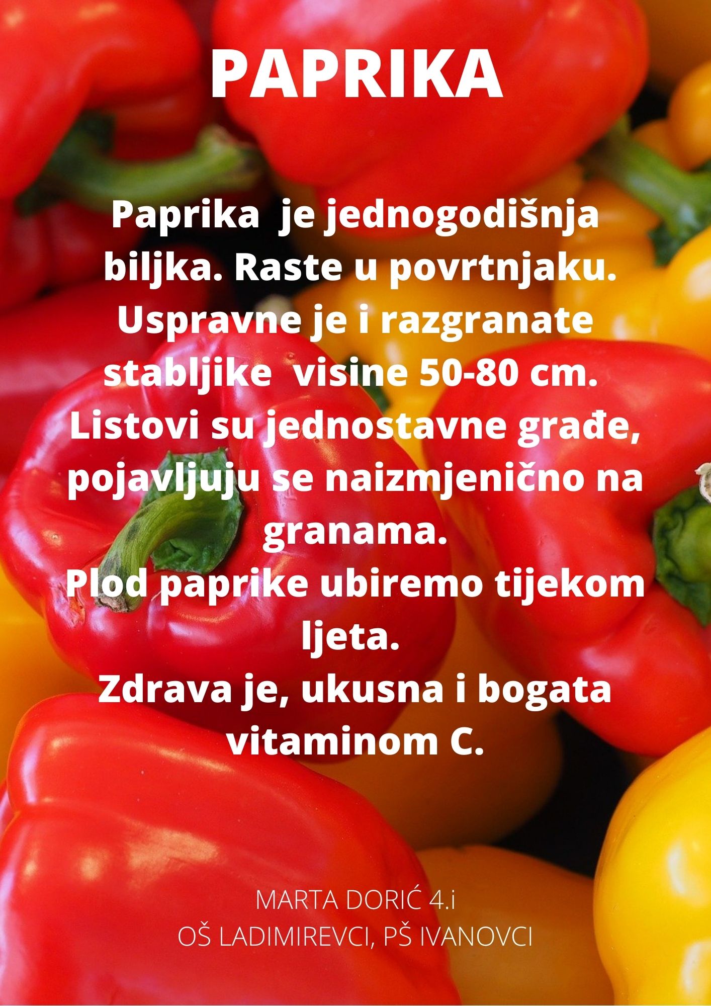 Abeceda biljaka by Biljana Popović - Ourboox.com