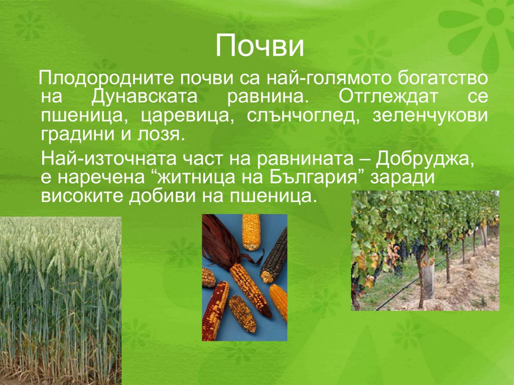 Паола by Nevin Caliskan - Ourboox.com