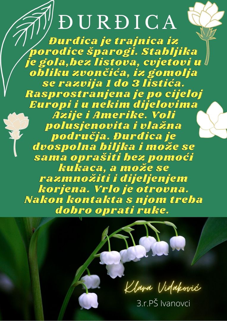 Abeceda biljaka by Biljana Popović - Ourboox.com
