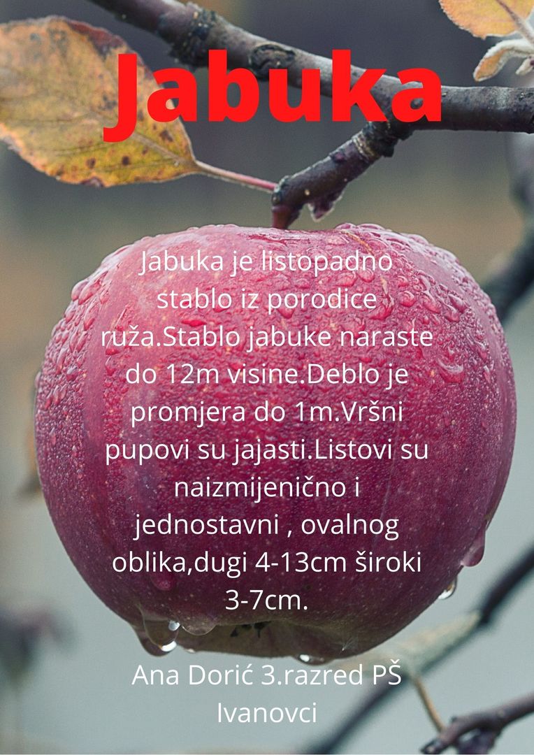 Abeceda biljaka by Biljana Popović - Ourboox.com
