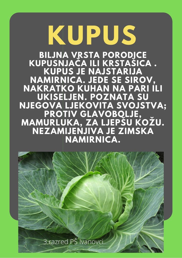 Abeceda biljaka by Biljana Popović - Ourboox.com