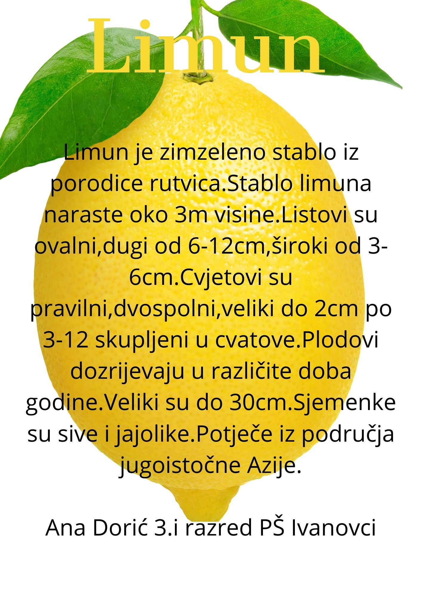 Abeceda biljaka by Biljana Popović - Ourboox.com