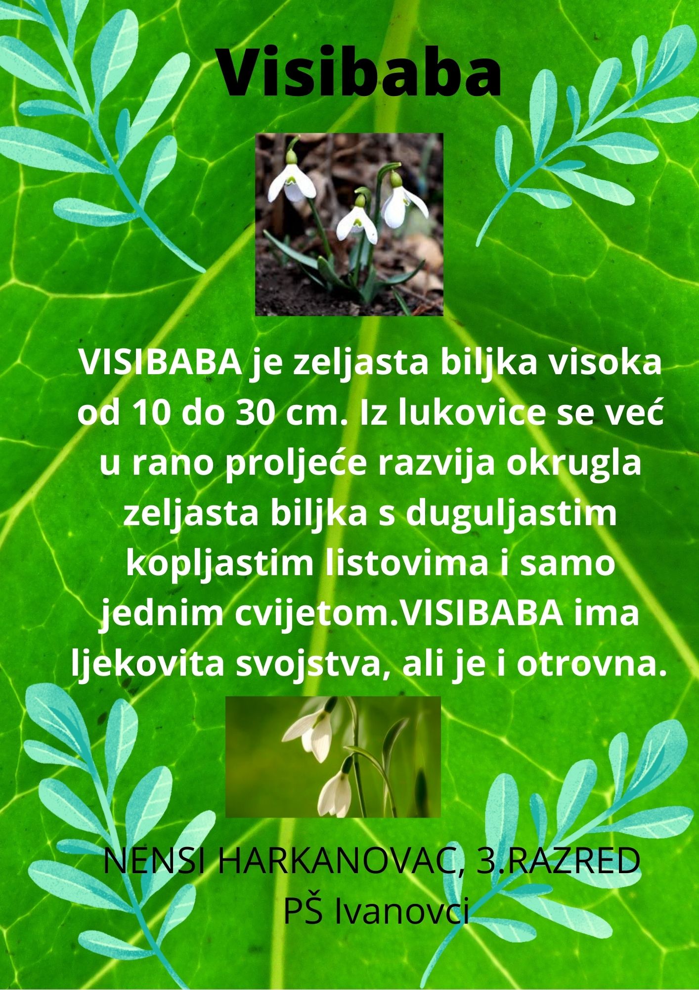 Abeceda biljaka by Biljana Popović - Ourboox.com