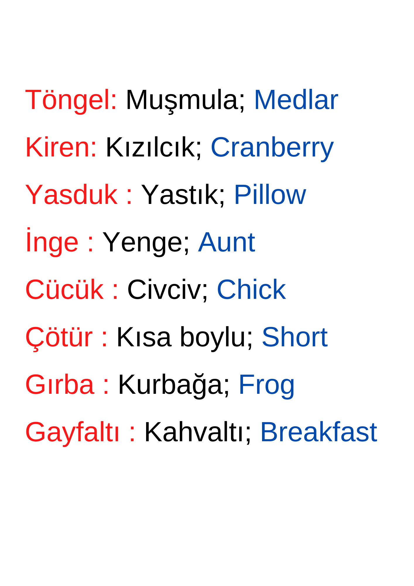 LANGUAGE IS OUR WEALTH – DİLİMİZ, ZENGİNLİĞİMİZ by AYSUN YILMAZ - Illustrated by Aysun YILMAZ / Şehit Ahmet Özsoy İlkokulu 3/A Sınıfı - Ourboox.com