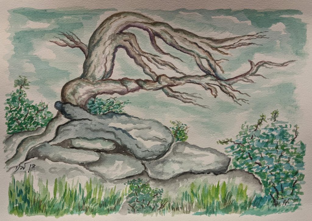 Livni’s Travels by Stephen Pohlmann - Illustrated by Dan Livni - Ourboox.com