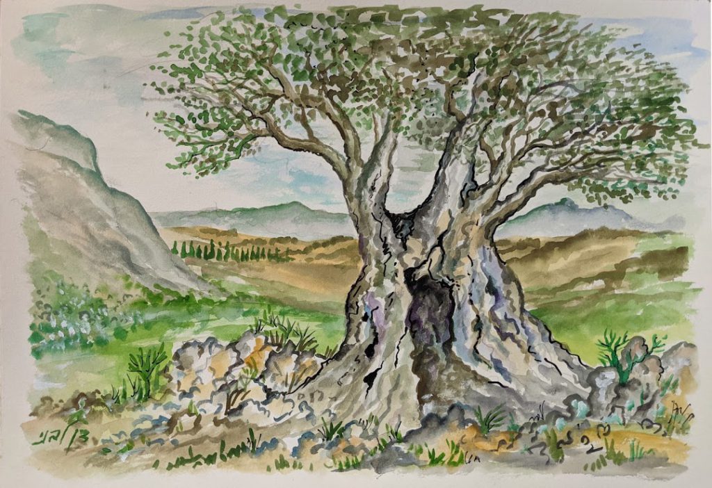Livni’s Travels by Stephen Pohlmann - Illustrated by Dan Livni - Ourboox.com